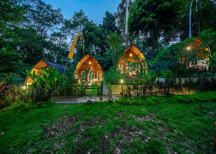 Riverside Jungle - Infinity Pool, Yoga & Adventures - A Retreat