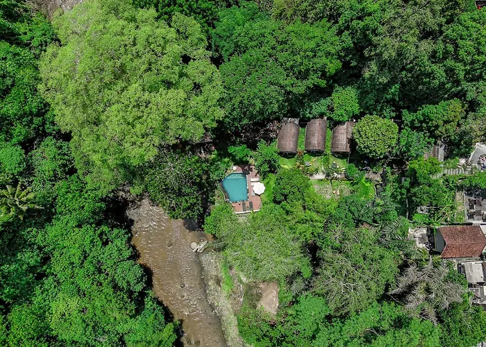 Lodge Riverside Jungle - Infinity Pool, Yoga & Adventures - A Retreat *
