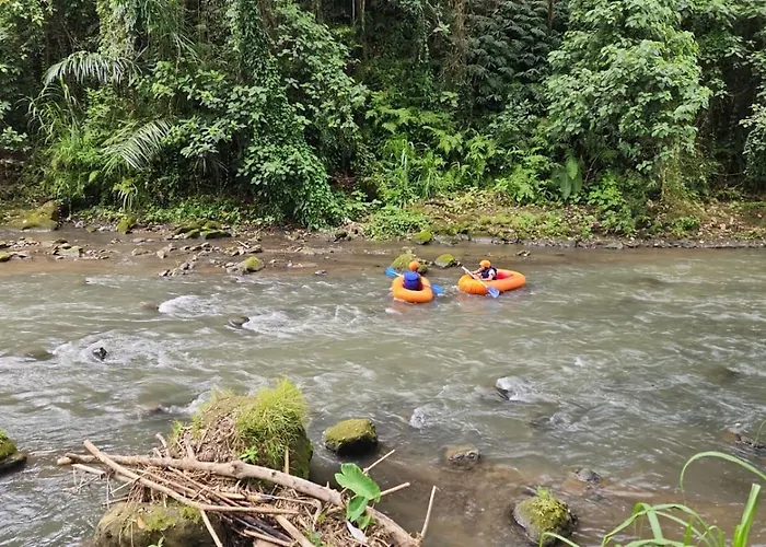 Riverside Jungle - Infinity Pool, Yoga & Adventures - A Retreat Lodge Ubud