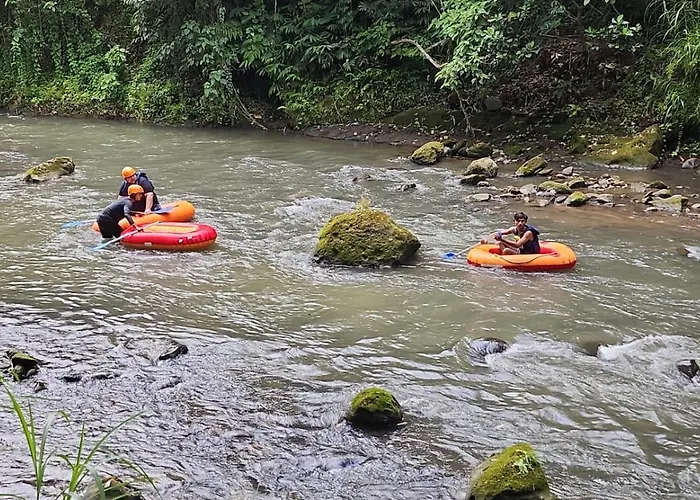 Riverside Jungle - Infinity Pool, Yoga & Adventures - A Retreat