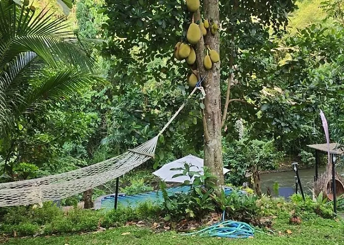 Lodge Riverside Jungle - Infinity Pool, Yoga & Adventures - A Retreat