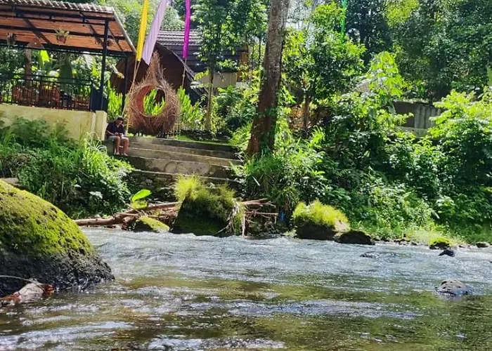 Lodge Riverside Jungle - Infinity Pool, Yoga & Adventures - A Retreat