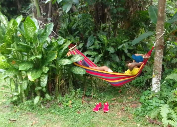 Lodge Riverside Jungle - Infinity Pool, Yoga & Adventures - A Retreat Ubud