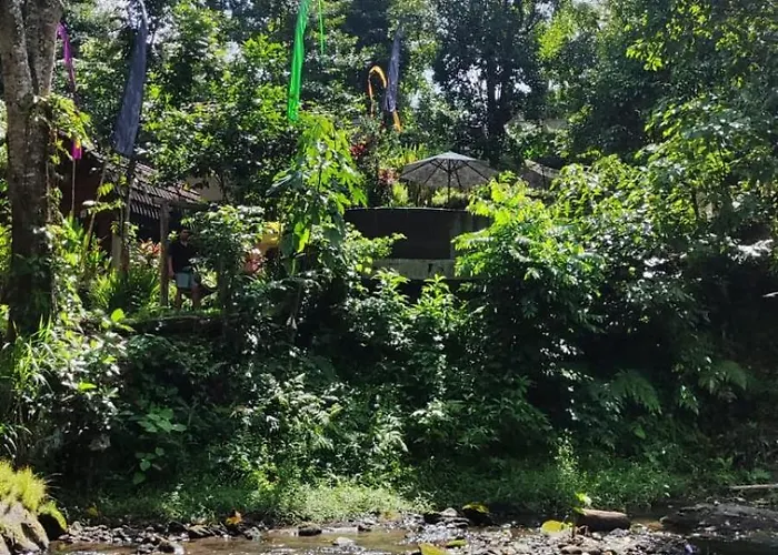 Lodge Riverside Jungle - Infinity Pool, Yoga & Adventures - A Retreat