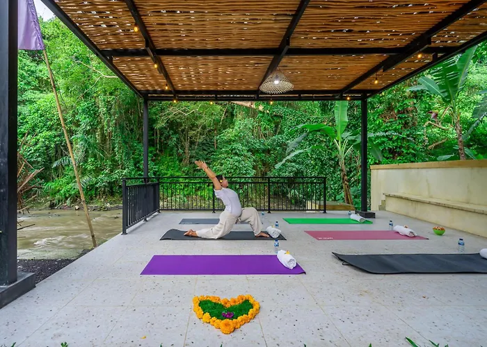 Lodge Riverside Jungle - Infinity Pool, Yoga & Adventures - A Retreat *