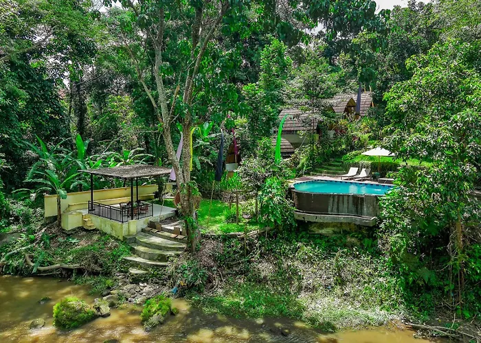 Riverside Jungle - Infinity Pool, Yoga & Adventures - A Retreat * Ubud