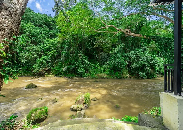 Lodge Riverside Jungle - Infinity Pool, Yoga & Adventures - A Retreat *