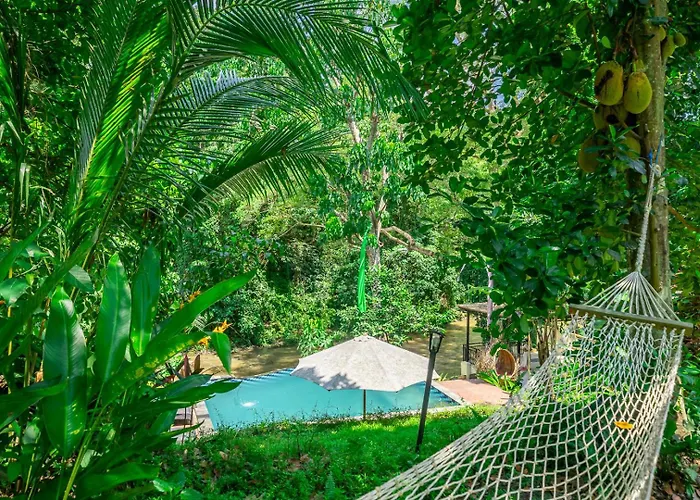 Riverside Jungle - Infinity Pool, Yoga & Adventures - A Retreat Lodge *