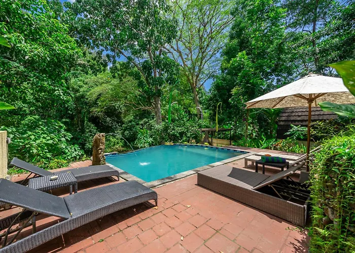 Lodge Riverside Jungle - Infinity Pool, Yoga & Adventures - A Retreat