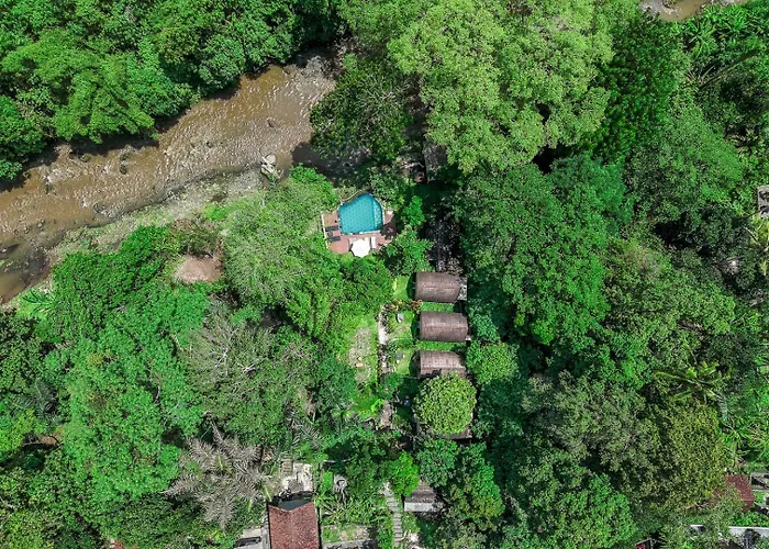 Riverside Jungle - Infinity Pool, Yoga & Adventures - A Retreat