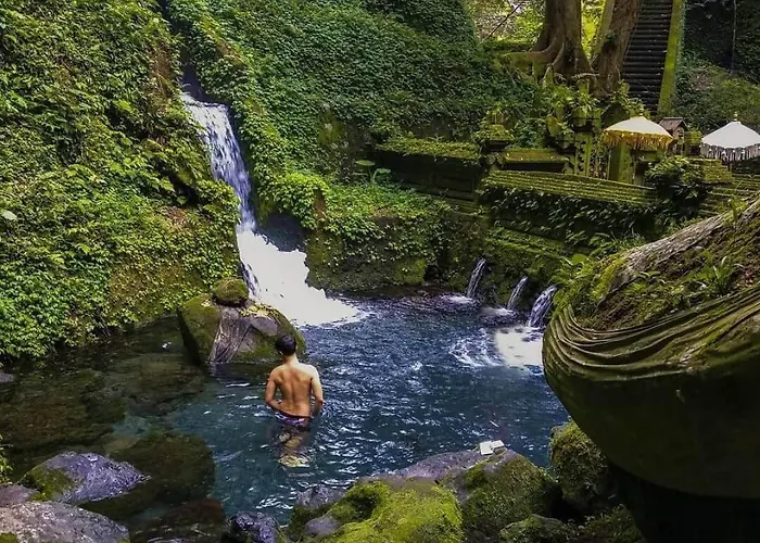 Lodge Riverside Jungle - Infinity Pool, Yoga & Adventures - A Retreat *